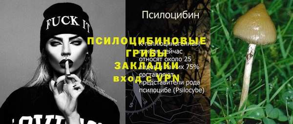 гашик Медвежьегорск