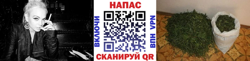 Бошки марихуана VHQ  Купить закладки  Алзамай 